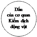 Oval: Dấu
của cơ quan Kiểm dịch
động vật
