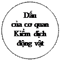 Oval: Dấu
của cơ quan Kiểm dịch
động vật
